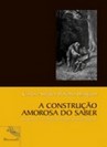 a-construcao-amorosa-1